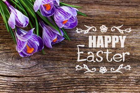 Violet crocus flowers frame on aged textured background with happy Easter greeting