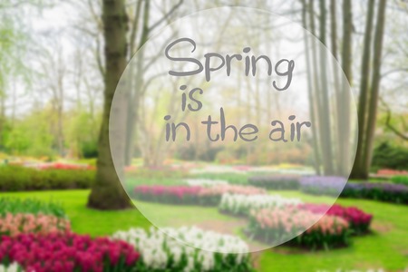 Colourful Hyacinth and Tulips Flowerbeds and Trees in an Spring Formal Garden with spring is in the air wordsの写真素材