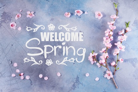 pink cherry blossom frame on gray and blue background with welcome spring slogan