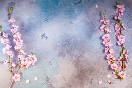pink cherry blossom twigs frame on gray background, top view frame, retro tonedの写真素材