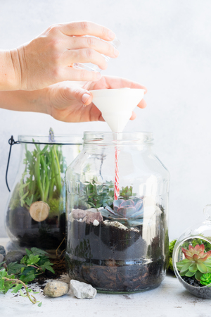 mason jar with plants inside, indoor gardening Do It Yourself, watering plantsの写真素材