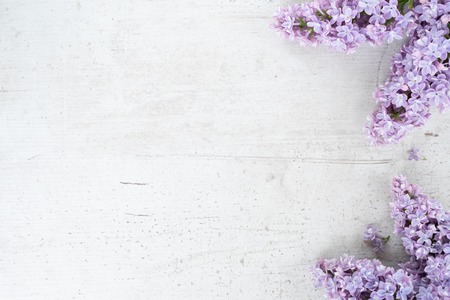 Fresh lilac flowers over white wooden background with copy space, flat lay flower compositionの写真素材