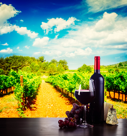 Bottle and glass with red wine on table in vineyard toned imageの写真素材