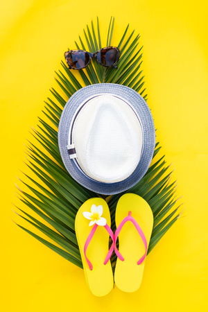 Summer flat lay border with palm leaf, hat and green leaves on yellow backgroundの写真素材