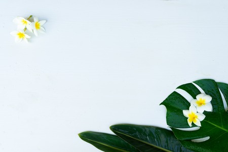 Summer flat lay with tropical leaves and flowers on gray wooden background with copy spaceの写真素材