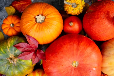 Harvest of pumpkins with fall leaves close up, flat lay sceneの写真素材