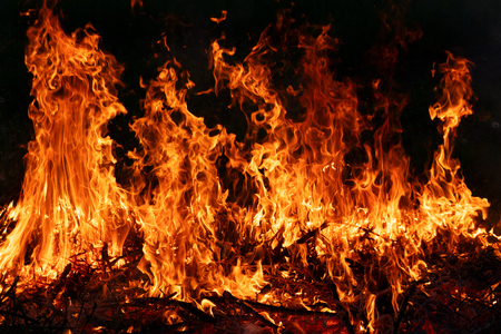 Wood fire orange flames on black background
