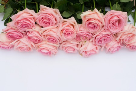 Rose fresh flowers border on light table from above with copy space on desktop, top view sceneの写真素材