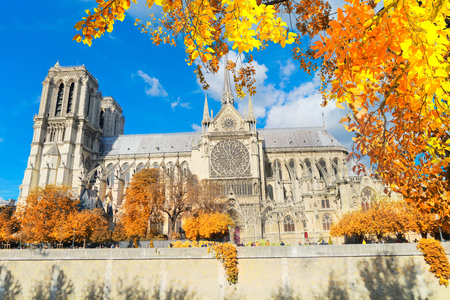 Notre Dame cathedral, side view with fall tree leaves, Paris Franceの写真素材
