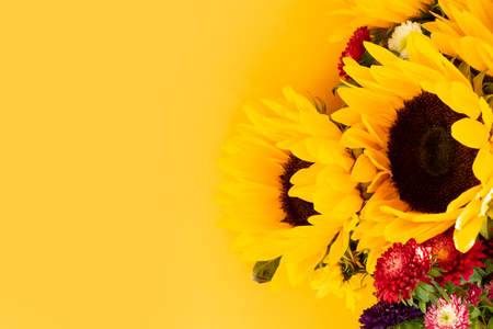 Aster and sunflower flowers on yellow, flat lay floral background with copy spaceの写真素材