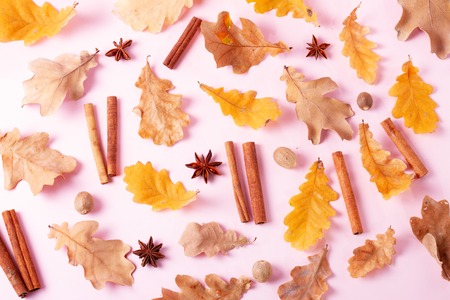 Fall leaves and spices on pink flat lay pattern, autumn backgroundの写真素材