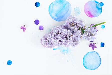 Tender lilac blue flowers frame over white background with watercolor paint splashes, flat lay flower composition with copy spaceの写真素材