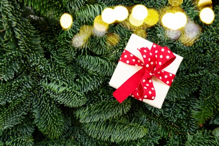 Christmas gift giving concept - christmas present in white box with red bow on evergreen tree...