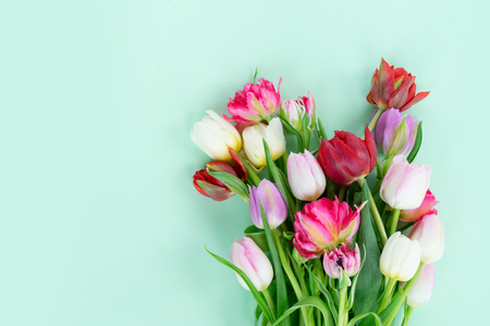 Bunch of fresh tulips flowers on pastel greenの写真素材