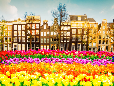 Facades of dutch houses over canal with with tulips, Amstardam, Netherlands, retro tonedの写真素材