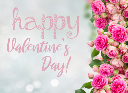Border of fresh pink roses on blue  with happy Valentines Day greetingの写真素材