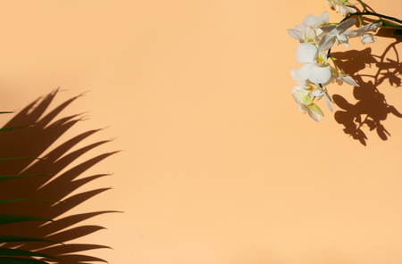 Summer flat lay scenery with tropical palm leaves on pink background with copy spaceの写真素材