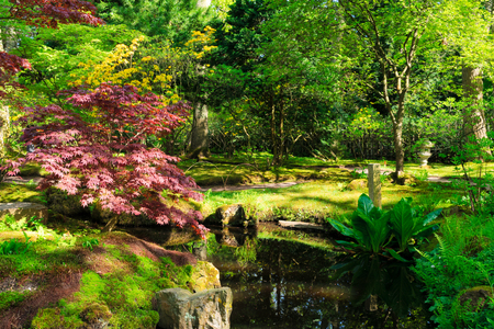 Green grass and spring trees in colorful japanese garden in The Hague, Netherlandsの写真素材