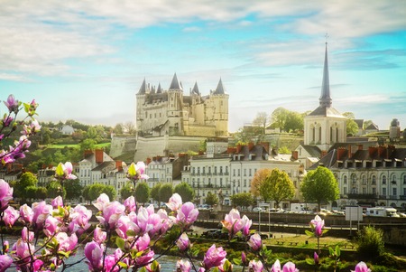 Saumur skyline, Pays-de-la-Loire at spring day, Franceの写真素材