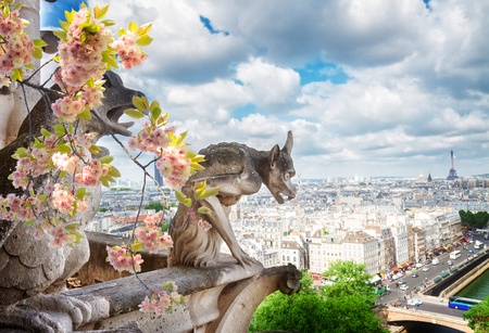 Gargoyle of Paris on Notre Dame Cathedral church and Paris cityscape with Eiffel Tower, France at springの写真素材
