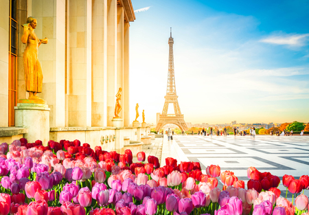 Eiffel Tower from the Gardens of the Trocadero square at sunrise, Paris, France at springの写真素材