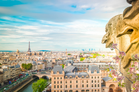 Gargoyle of Paris on Notre Dame Cathedral church and Paris cityscape from above with flowers, Franceの写真素材
