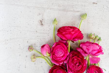 Floral composition - ranunculus flowers on white aged wooden background. Flat lay, top view, copy spaceの写真素材