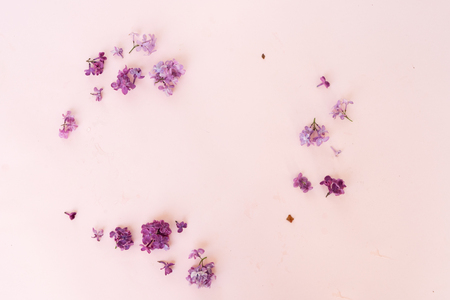 Fresh lilac flowers and petals over pink background with copy space, flat lay floral compositionの写真素材