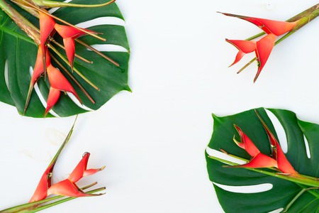 Tropical green monstera leaves and exotic Heliconia red flowers on wooden background, top viewの写真素材