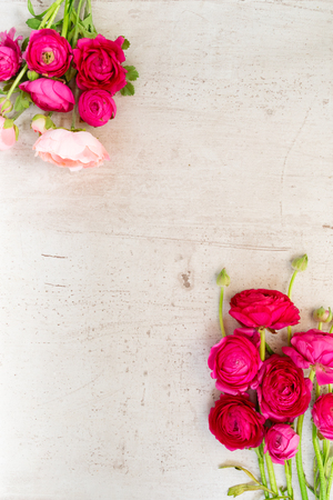 Flowers composition - ranunculus pink flowers on white wooden background. Flat lay, top view, copy spaceの写真素材
