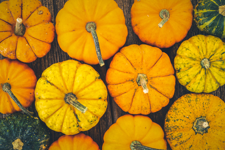 orange and green raw pumpkins on old wooden textured table, retro tonedの写真素材