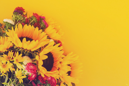 Aster and sunflower flowers on yellow   with copy space, tonedの写真素材