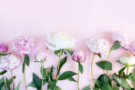 Beautiful fresh pink and white peony flowers on pink table with copy space for your text, top view and flat lay backgroundの写真素材