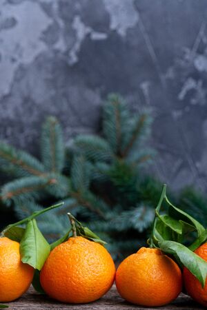 Christmas scene with fresh tangerines and pine, copy space on wallの写真素材