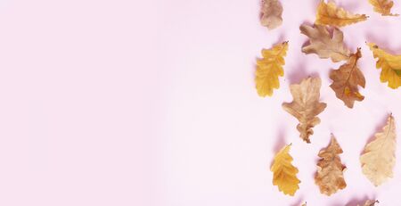 Fall leaves on pink flat lay autumn background, web banner fromatの写真素材
