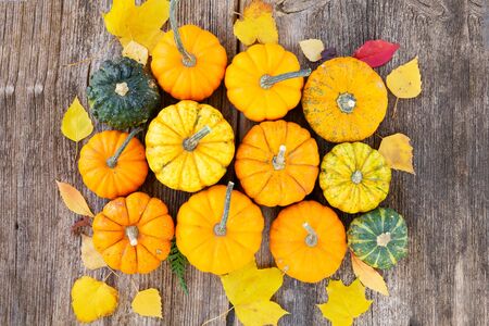 orange and green raw pumpkins on old wooden textured table, top viewの写真素材