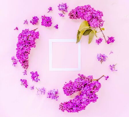 Fresh lilac flowers over pink background frame with copy space, flat lay floral composition, tonedの写真素材