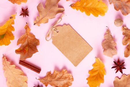 Fall leaves and spices on pink flat lay pattern, autumn  with copy spaceの写真素材