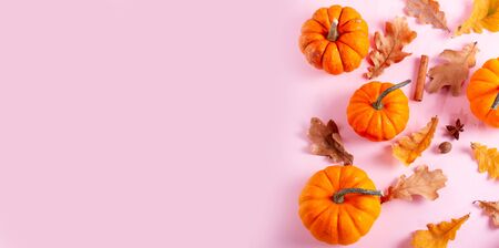 Pumpkins, fall leaves and spices on pink flat lay top view autumnの写真素材