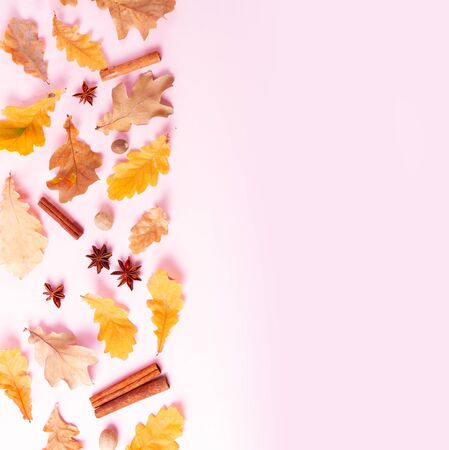 Fall leaves and spices on pink flat lay autumn  border with copy space on pinkの写真素材