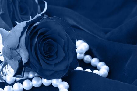 Fresh rose with pearls on classic blueの写真素材