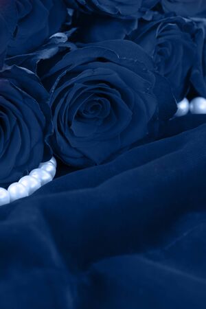 fresh roses on velvet with pearls background in classic blue colorの写真素材