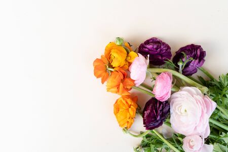 Flowers composition. Floral texture made of ranunculus flowers on pink background. Flat lay, top...