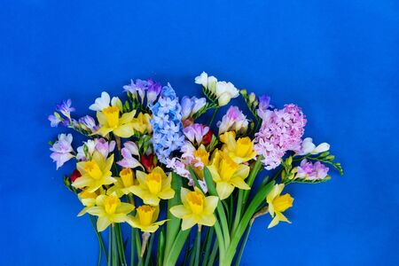 blooming daffodils, hyacinth and freesia flowers over classic blue backgroundの写真素材