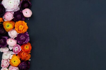 ranunculus flowers border on minimal black background with copy spaceの写真素材