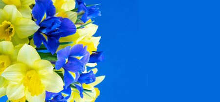 bouquet of daffodil and iris flowers over blue background, web banner format