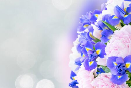 Fresh peony and iris flowers over gray defocused background