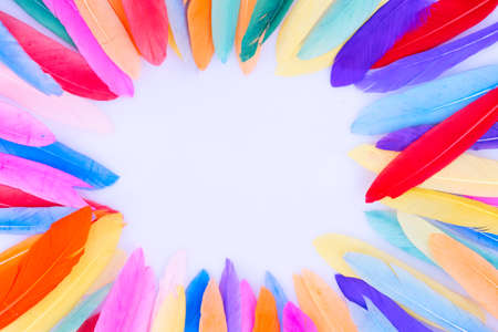 Colorful pattern made of feathers. MInimal boho style color concept, natural flat lay backgrund frameの写真素材