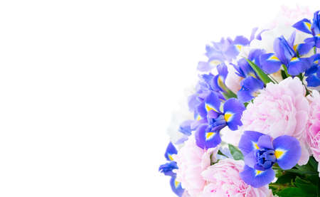 Fresh peony and iris flowers over white backgroundの写真素材