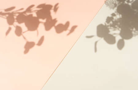 Shadow of leaves on the wall, summer relax background